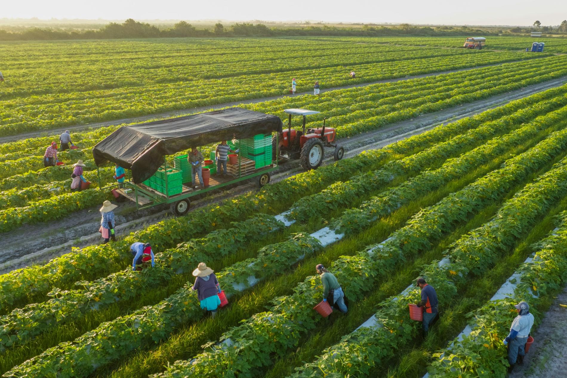 agricultural-engineer-seed-your-future