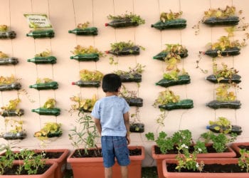 What Is a Sustainable Lifestyle?