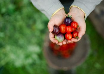 Diets To Try for Sustainable Weight Loss